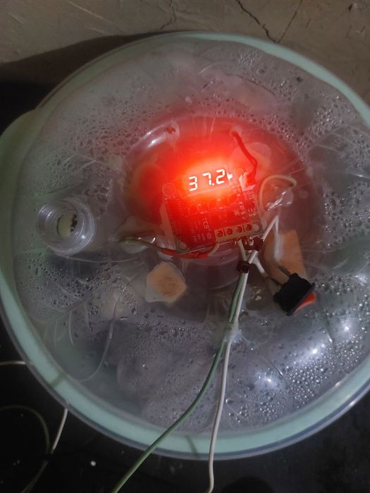 Inkubator, Pol avtomat