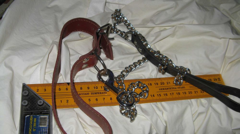 Vand zgarda si lesa caine