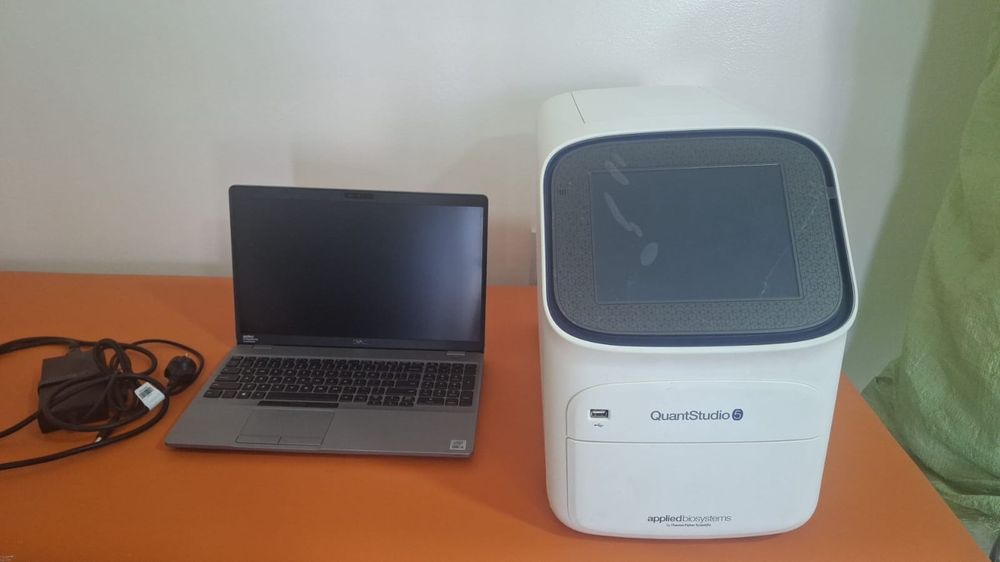 Аппарат для ПЦР тест