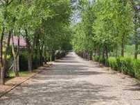 Loturi constructie intre 70-85 Euro/mp - Afumati, Strada Padurii