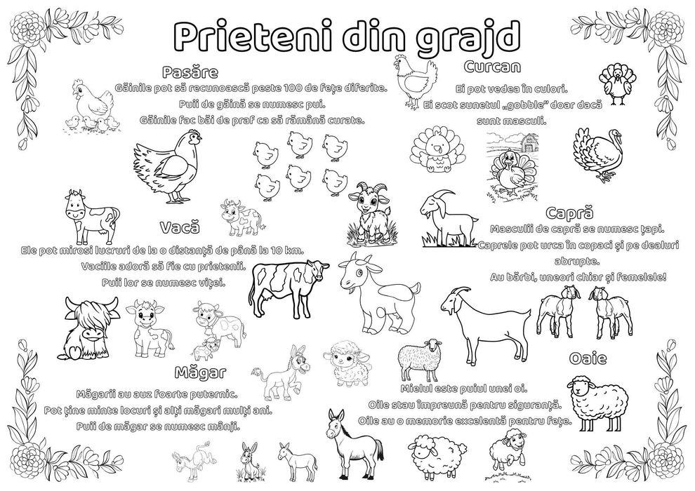 Dosar de colorat A4. - Color Quest - Varsta 4-8 ani, 96 de pagini.