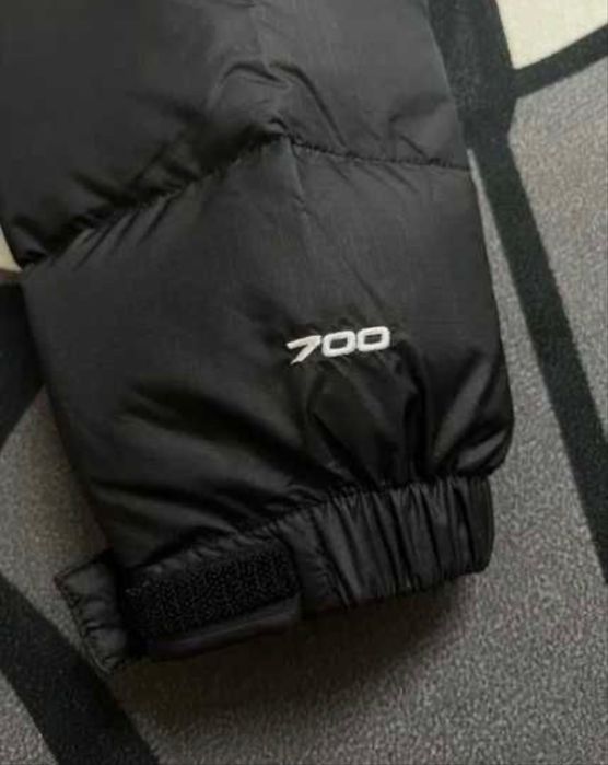 Geaca The North Face