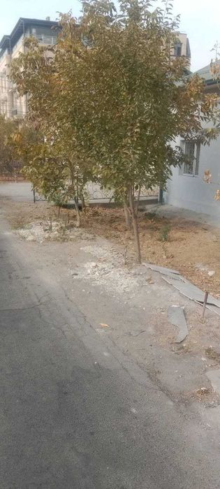 Аренда дома 3-ком.