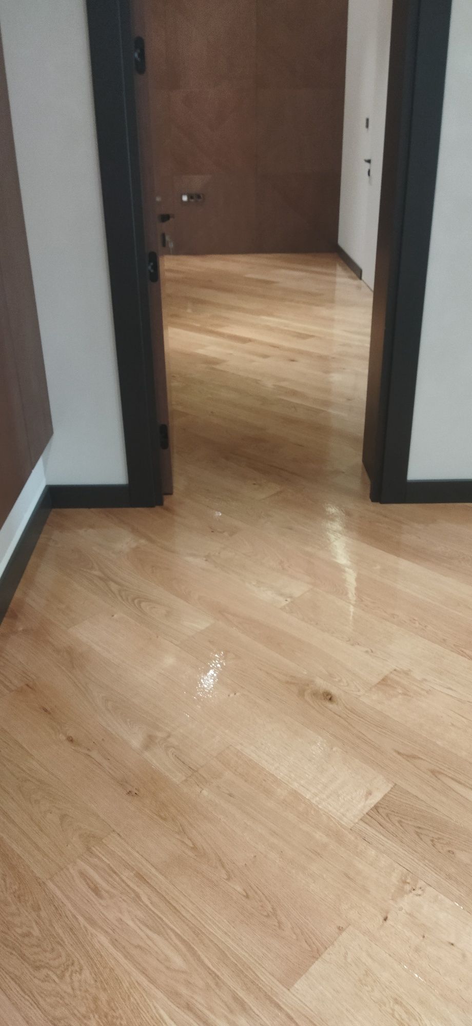 Shilipofka qilamiz yangi va eski pollarni laminat evro pol qoqamiz