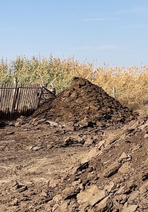 Малдың шіріп тұрған навоз бар (гөң) !!!