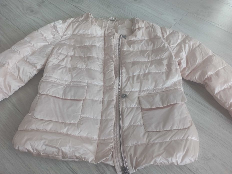 Марково яке пух ,Gustav