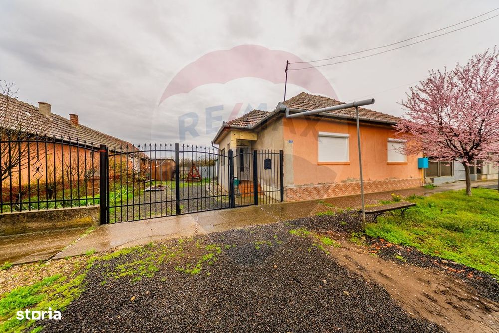 Casă /Macea/ARAD
