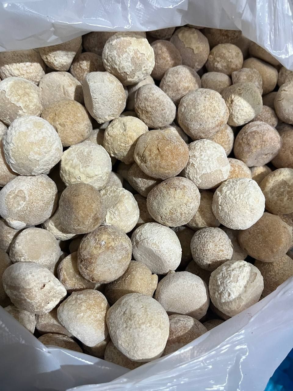 Катты курттар бар