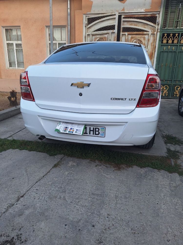 Cobalt булый 2024 года