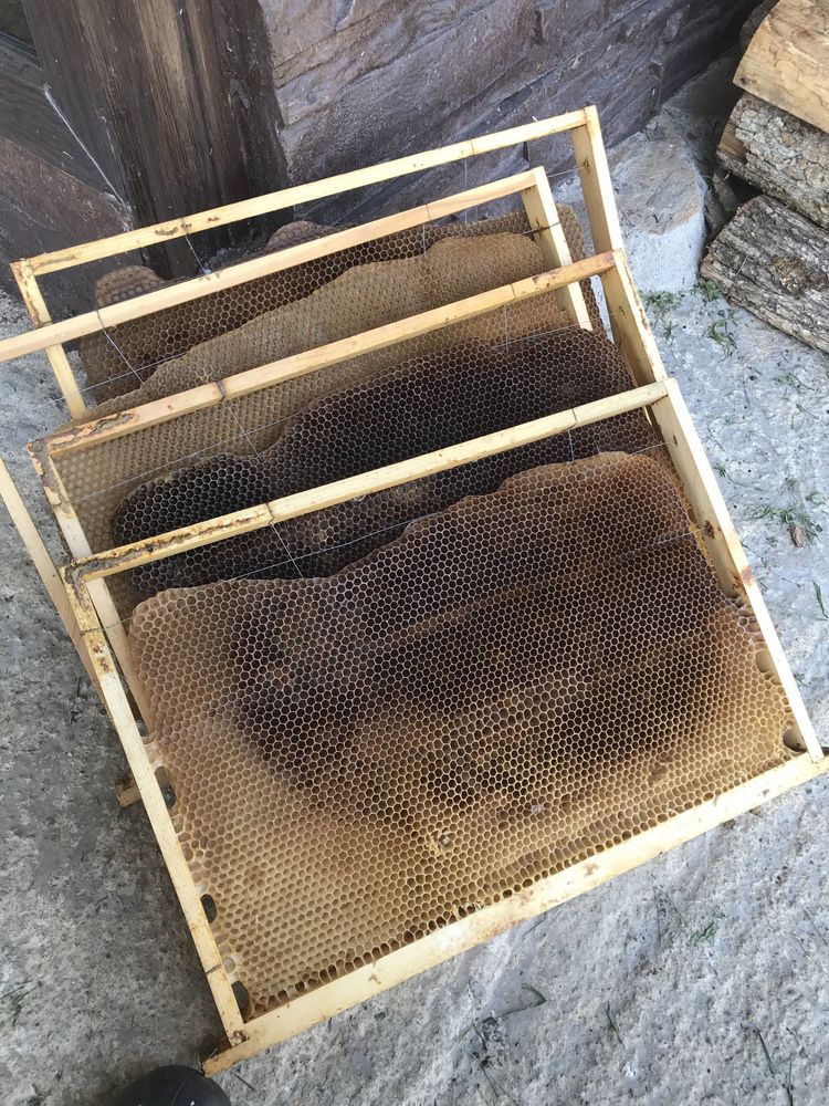 Рамки рамки Пчеларство