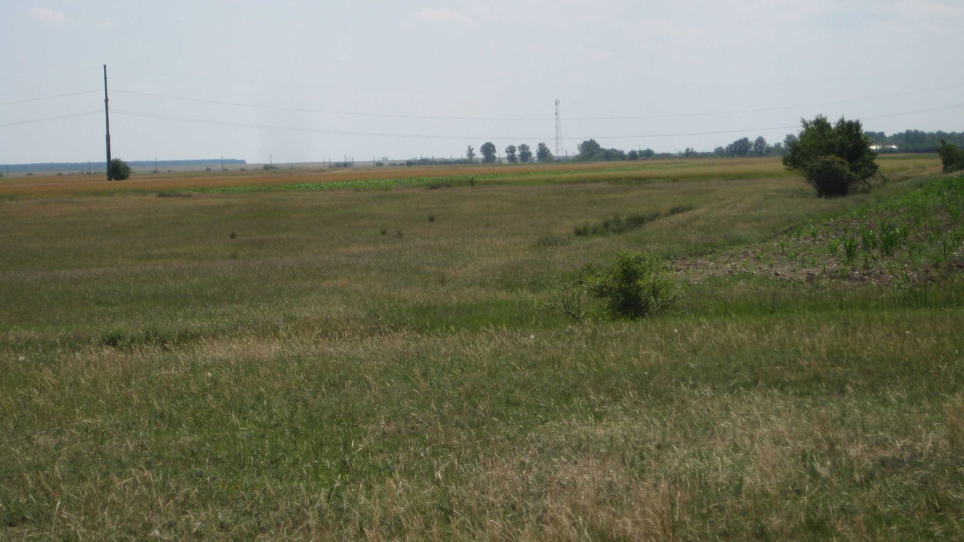 Teren autostrada Bucuresti-Pitesti,Ratesti,km 83