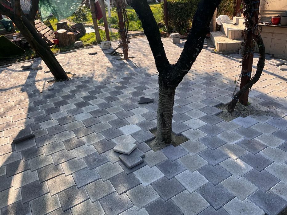 Pavele și Pavaje Ilfov - Transport și Montaj pentru Curte