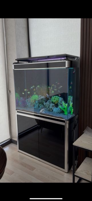 Чистка аквариумов , замена воды аквариума , Профессиональная чистка