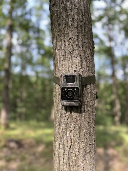 Camera vanatoare Forestvision Alpha 48mp Wifi si stocare pe card sd