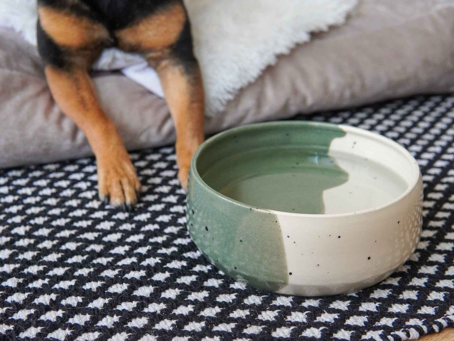 Купички Mildov