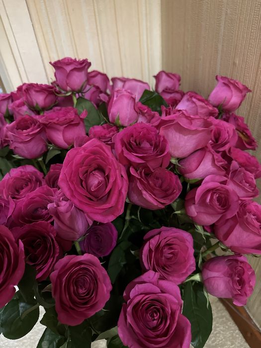 Розы свежие. Остаток со склада