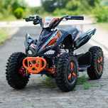 OFERTA ATV electric NITRO ECO Python 1000W 36V Snowy tyre, cu 3 Viteza