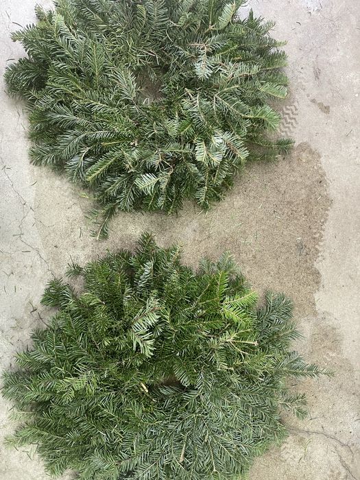 Coronita brad natural