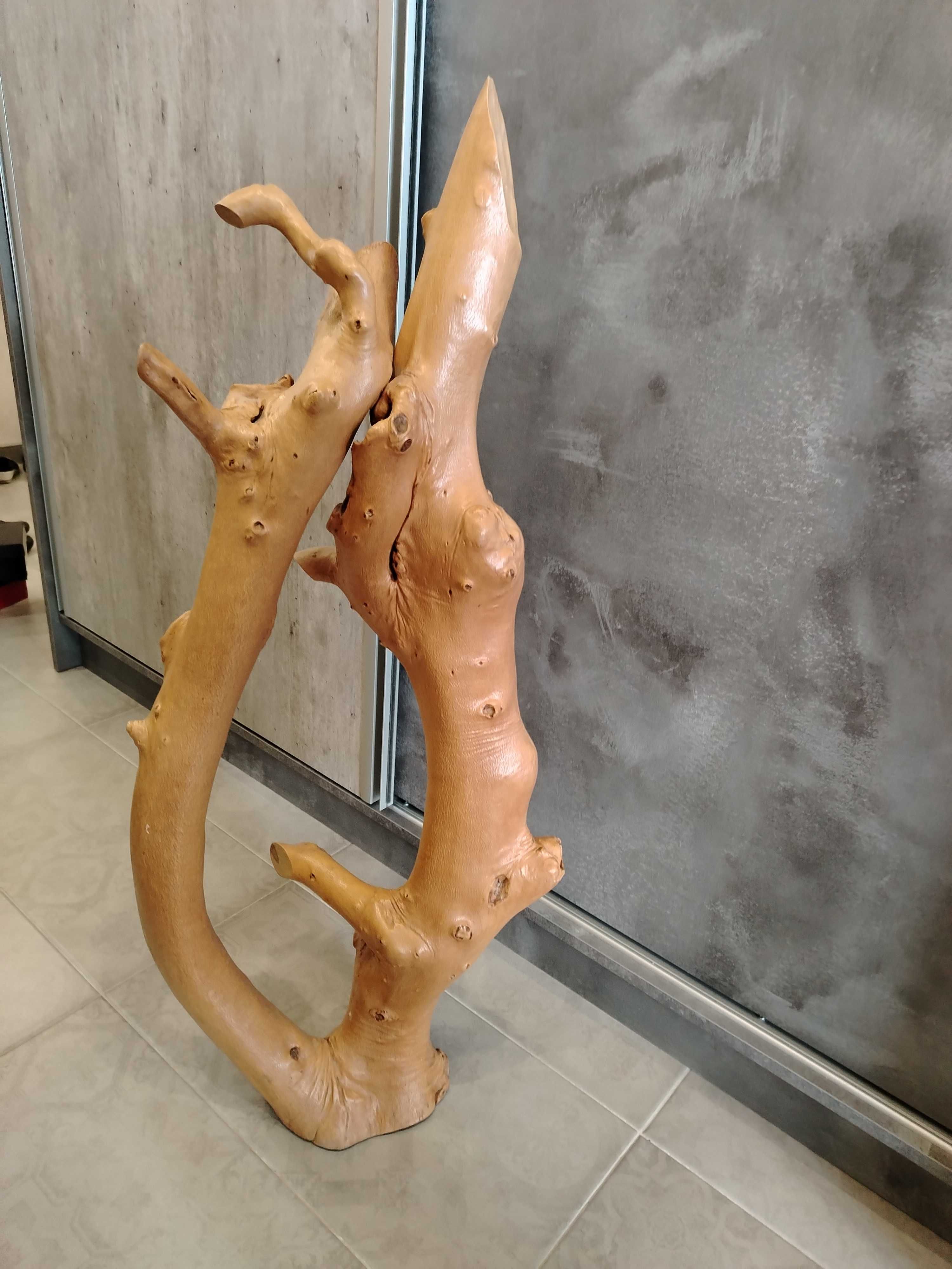Декоративен корен