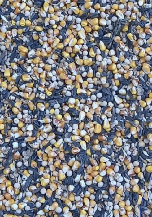 Vand porumb , amestec cereale grau orz mazăre floarea soarelui