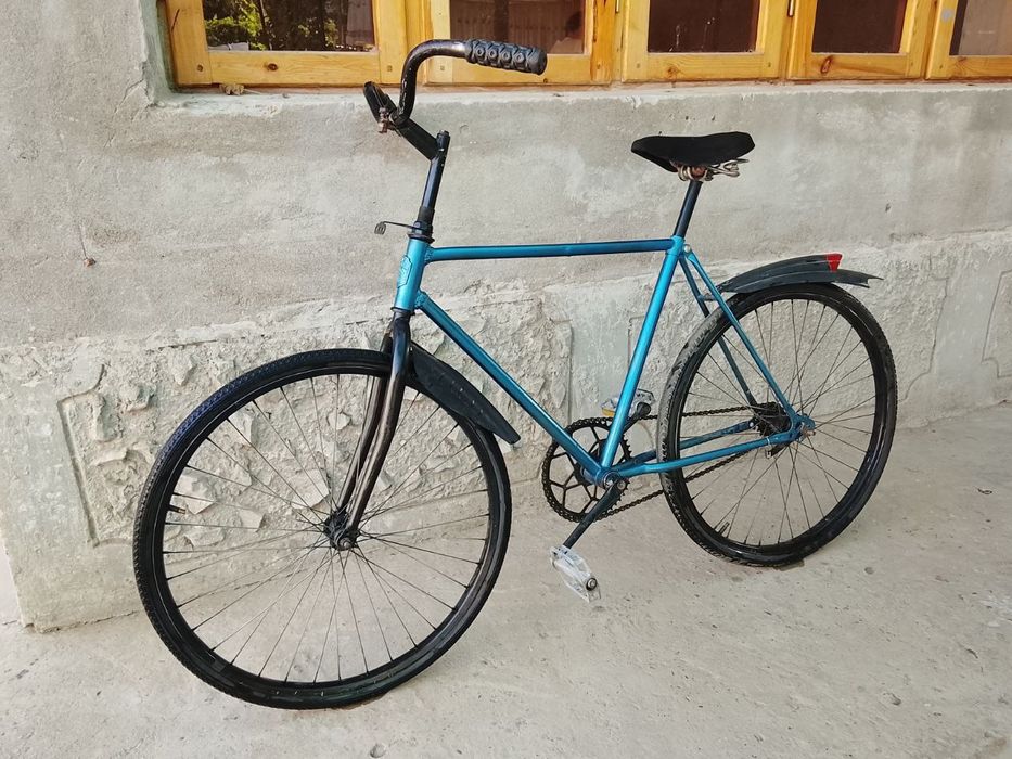 Arliyonik,  razmeri 24