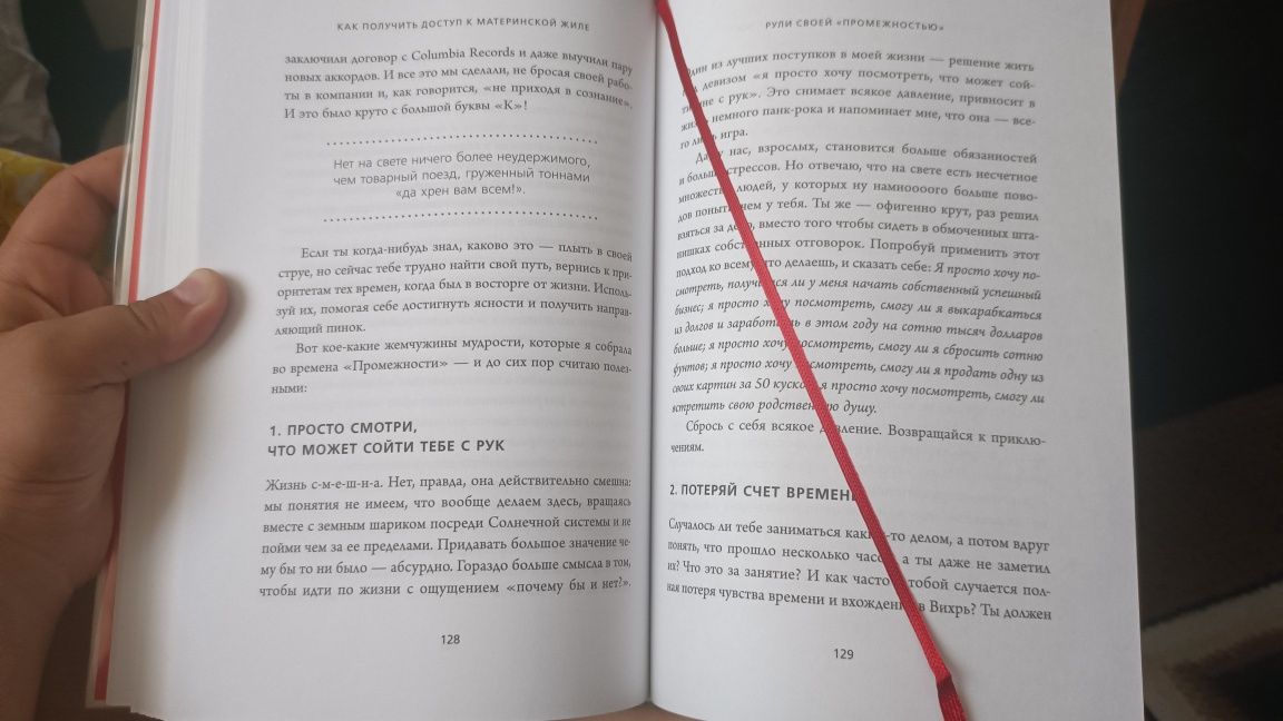 Продается книга НИ СЫ