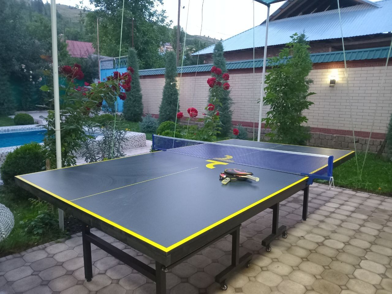 Dacha bor sijjak