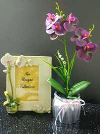 На подарок: фоторамка и орхидея