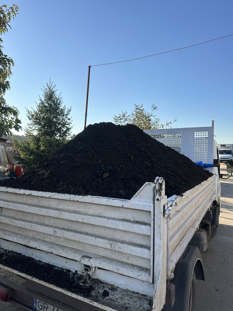 Mranita cernuta balegar fermentat