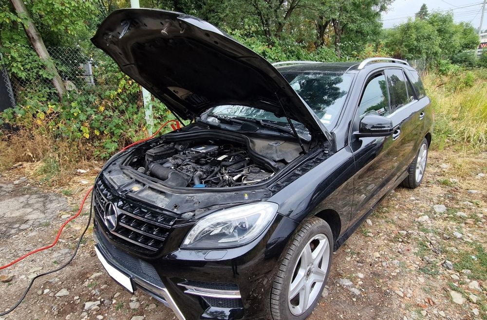 Премахване на Адблу/SCR/Adblue системи! 10+ години Опит !