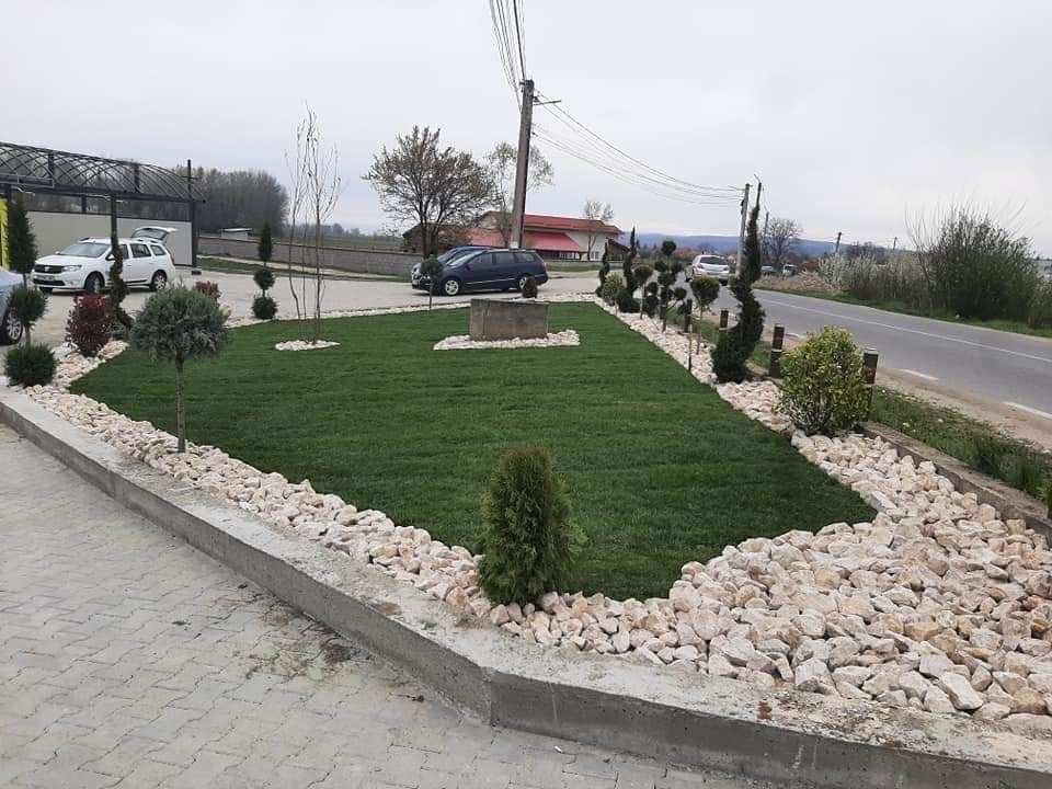 Amenajări grădini gazon rulou și plante ornamentale