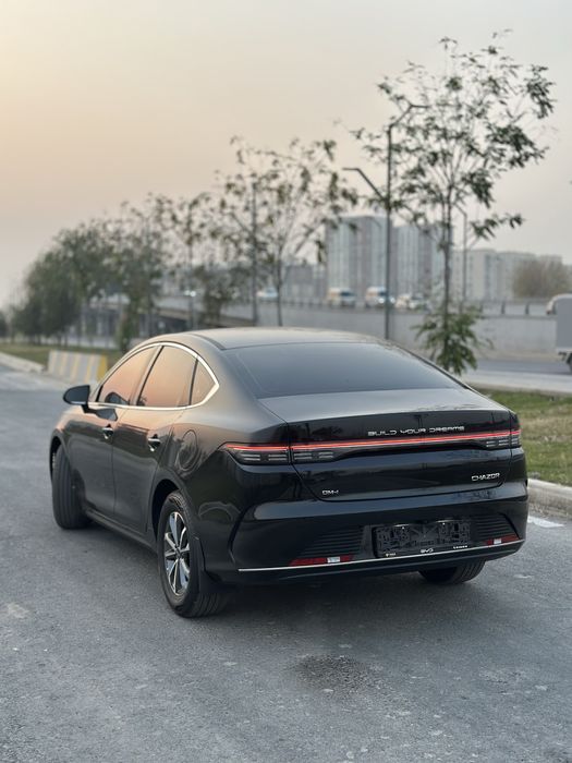 BYD chazor 2025 55 Active