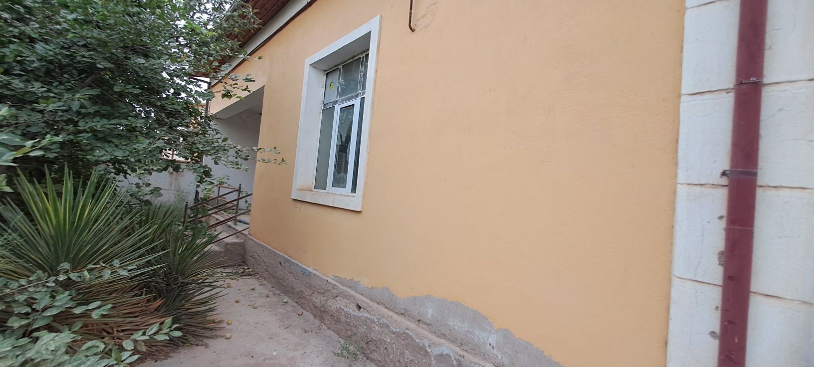 Sherabod tumani Boģobod mahallasi