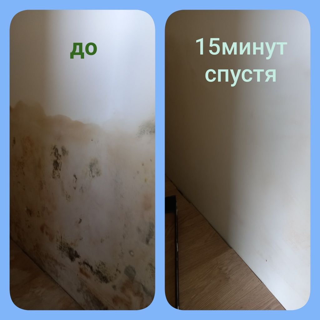 Быстрое и эффективное удаление плесени и грибка. Результат виден сразу