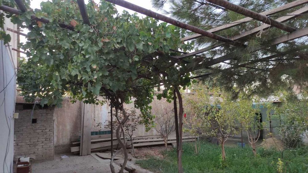 Ховли сотилади. Шахарга якин