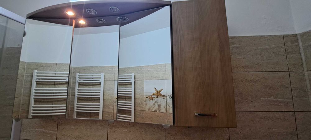 mobilier baie si cabina dus (eliberare apartament, pret avantajos)