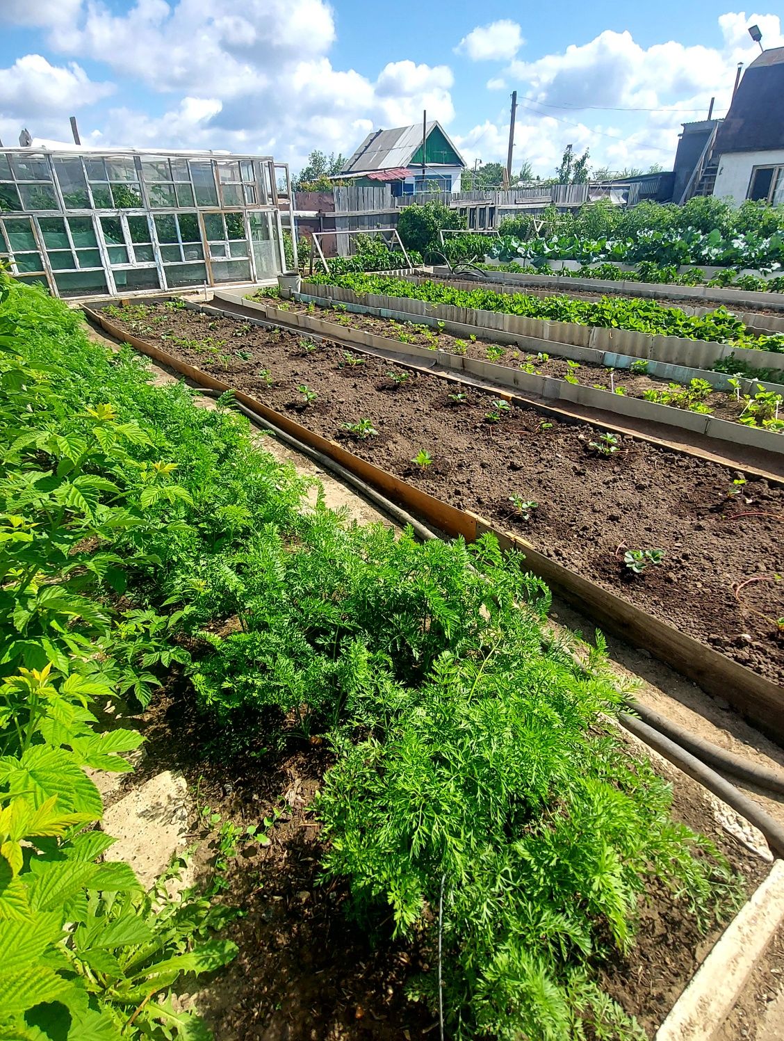 Продаётся дача в дачном сообществе ,,Ромашка,,