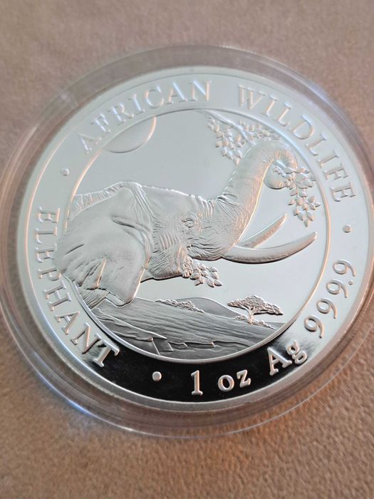 Сребро 1 oz. Сомалийски слон