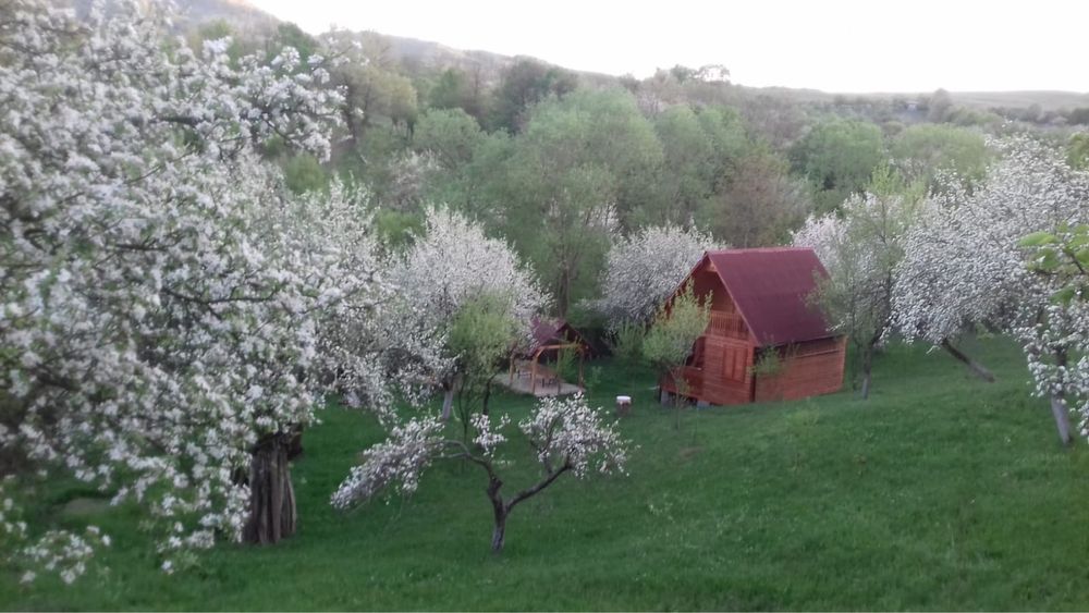 Vand livada cu cabana