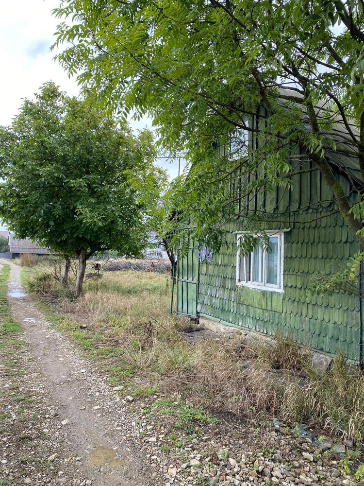 Teren Radauti strada Putnei