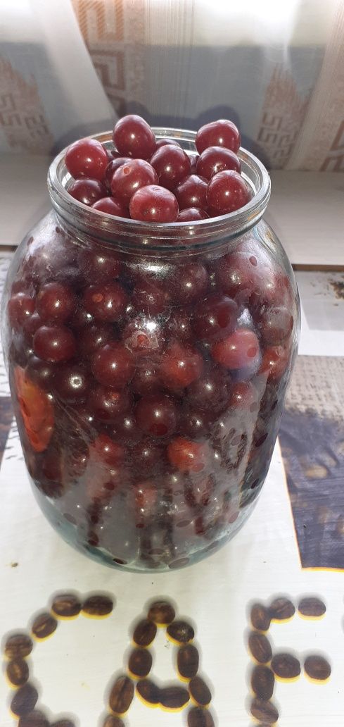 Продам вишню домашнюю