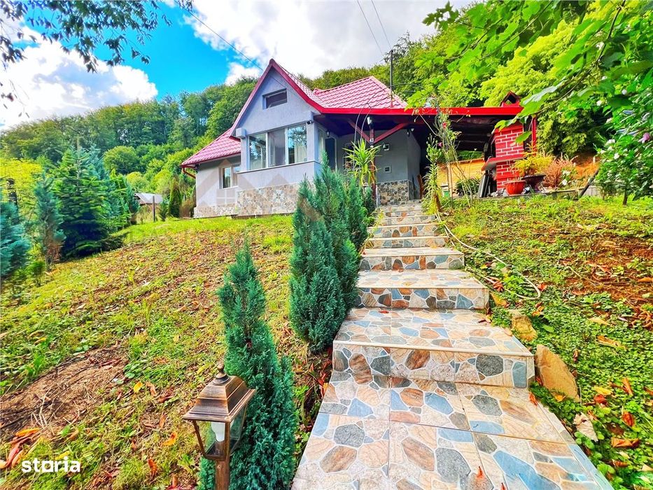 Ideal investitie, cabana cu ciubar, in Firiza