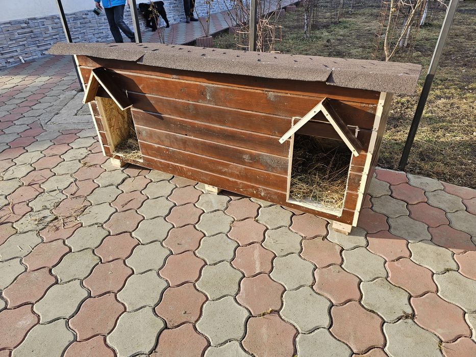 Causca caine XXL la comanda