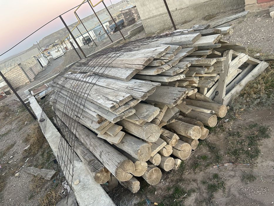 Томар-ағаштаррыы