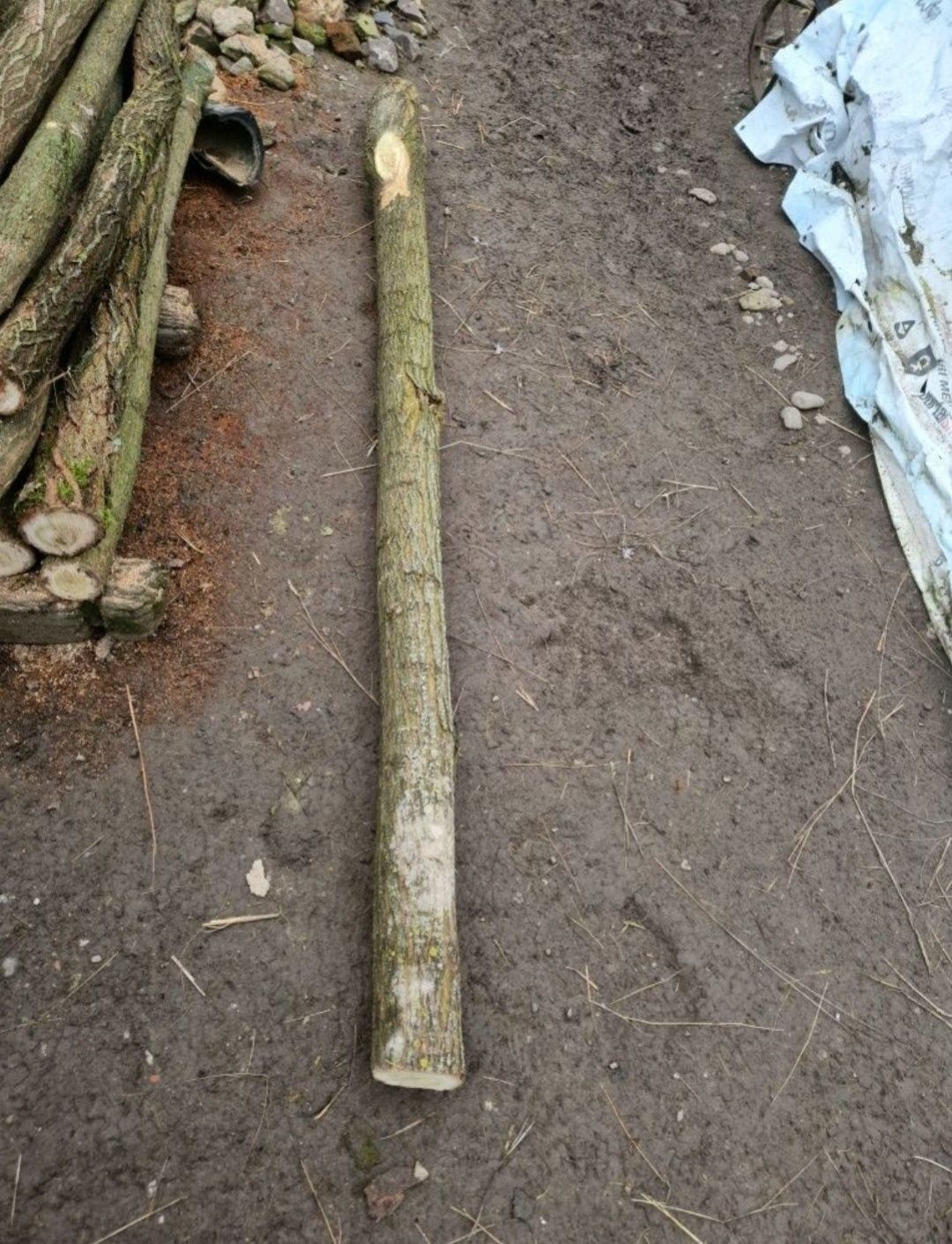 Material pt balansoar / lemn