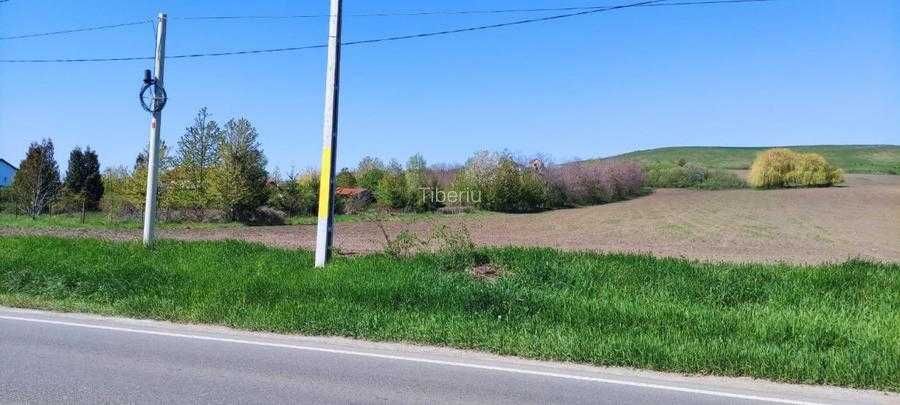 Vând 15000 mp teren