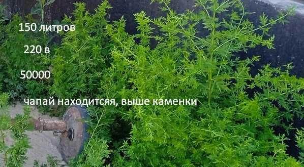тачки  в хорошем состоянии
