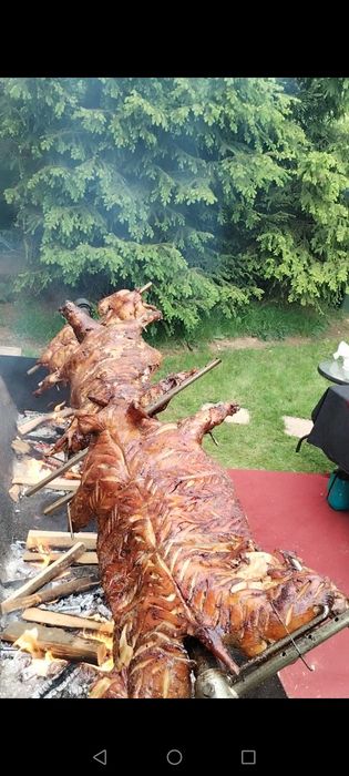 Bunătăți la proțap