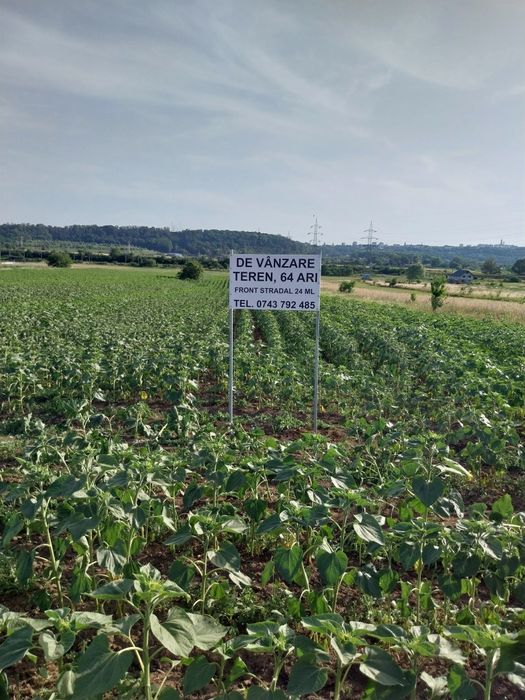 ***6400mp***Teren Intravilan.Burdujeni.Suceava***