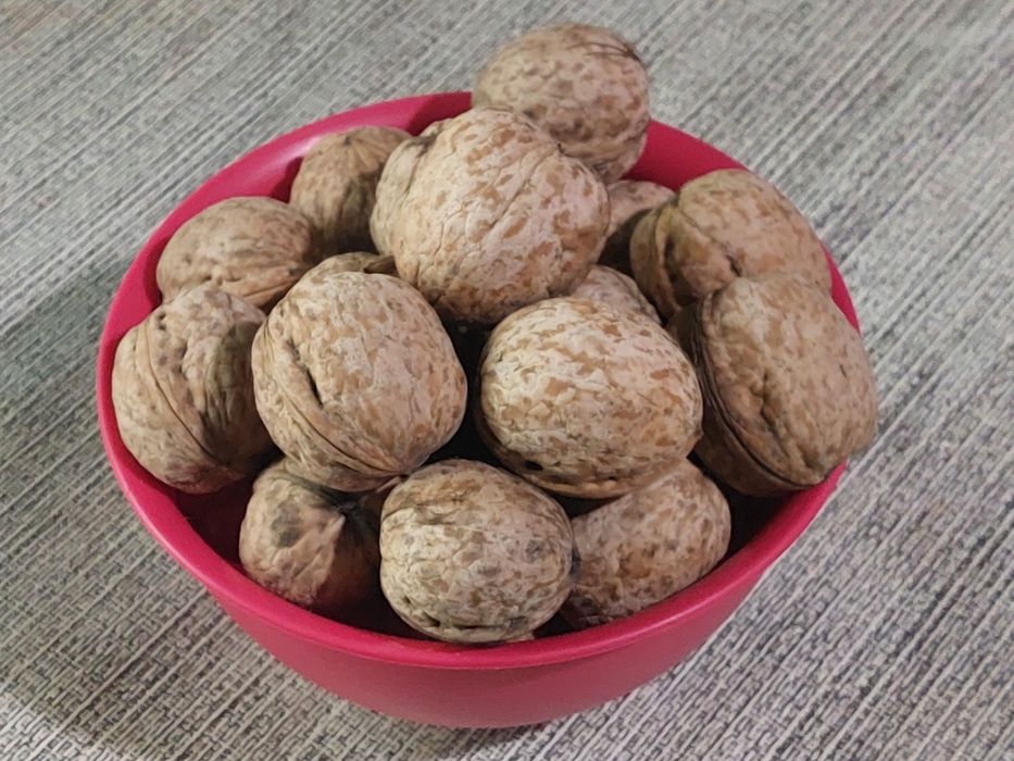 Продаются Грецкие орехи